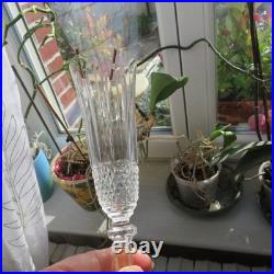 6 flutes a champagne en cristal de saint louis modèle tommy signé H 18,5 cm