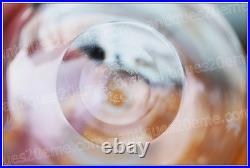 Flacon à parfum en cristal de Saint Louis Perfume bottle