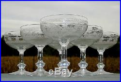 Saint Louis Service de 6 coupes à champagne en cristal gravé, forme Massenet