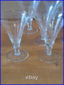 Six verres à eau en cristal décor de fleurs et frise dlg Baccarat St Louis